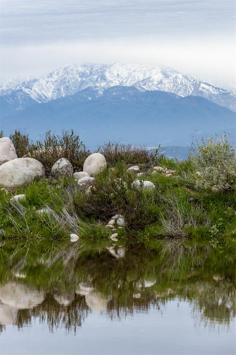 pond with  mountain in background